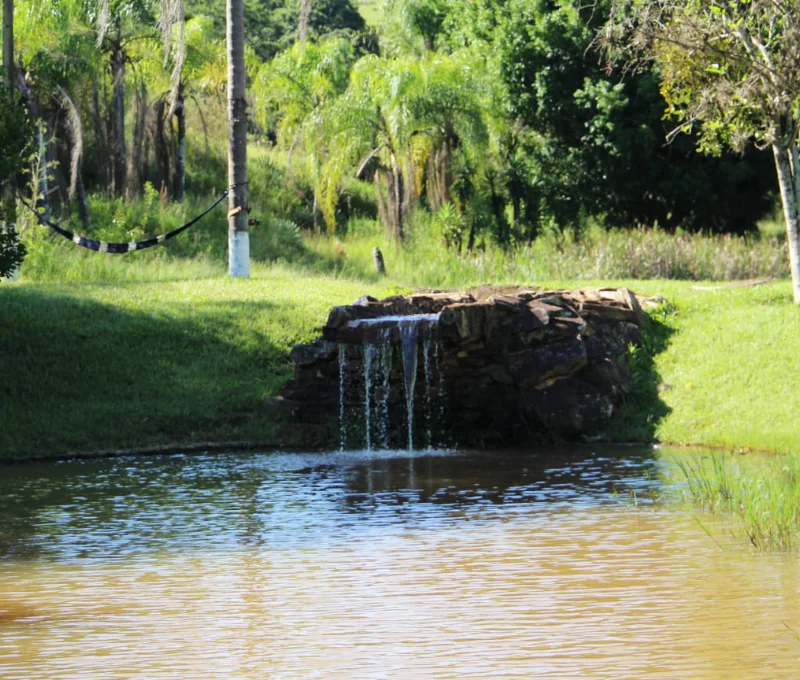 Pesca 5